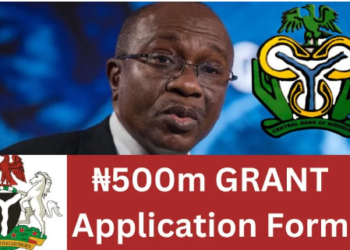 CBN N500m Grant