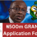 CBN N500m Grant