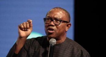 2023: Peter Obi Reveals Why Opponents Are Attacking Him