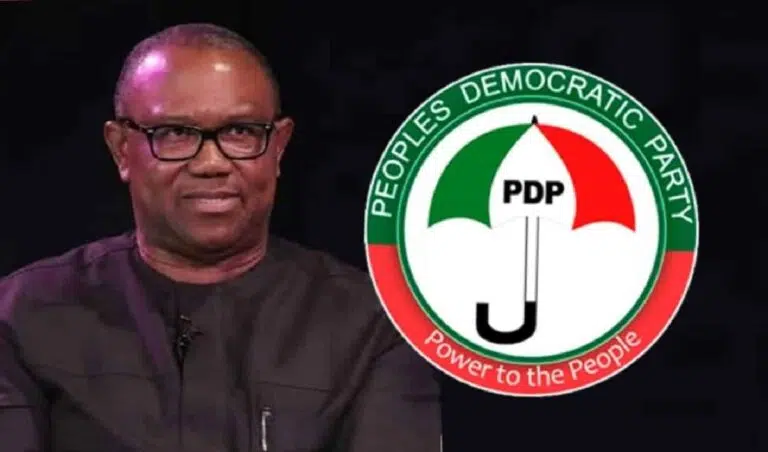 PDP Chairman