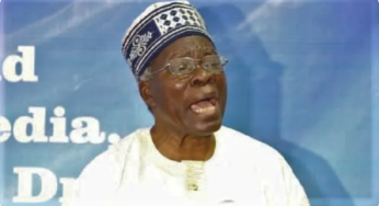 ‘Yoruba People Will Have Their Own Country By December 2022’ – Prof. Akintoye