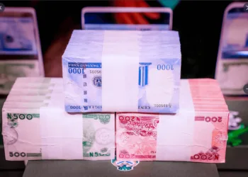 Naira Notes