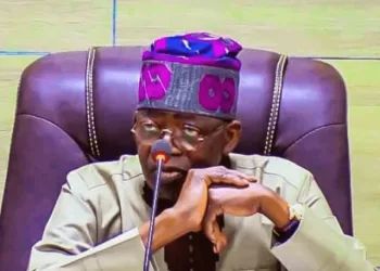 If Elected, Tinubu Will Chastise You With Scorpion - Omirhobo, Stears