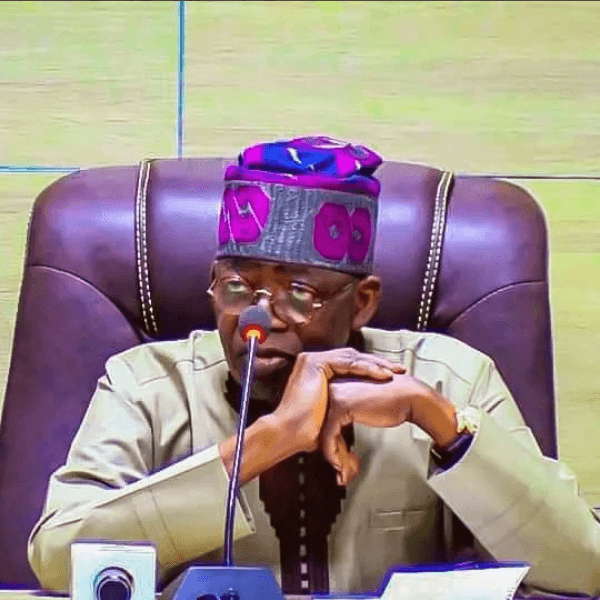 If Elected, Tinubu Will Chastise You With Scorpion - Omirhobo, Stears