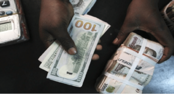 Black Market Dollar To Naira Exchange Rate Today, Tuesday 14th March 2023