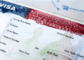 US Nonimmigrant Visa