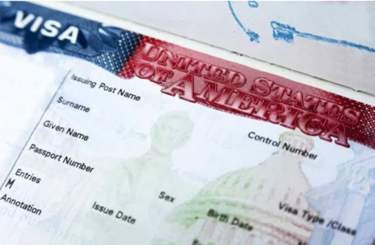 US Nonimmigrant Visa