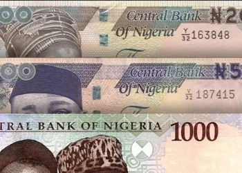 Naira Redesign