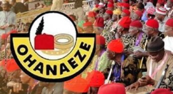 Ohanaeze Condemns Interim Government, Says Igbos Will Support Tinubu’s Swearing In