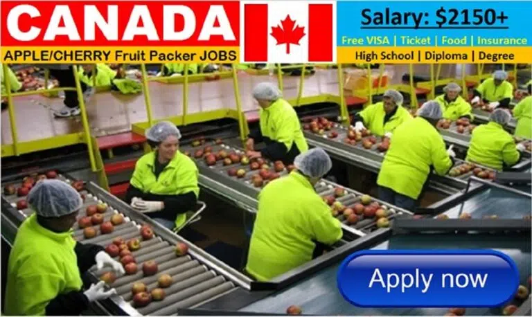 Fruit Packaging Jobs In Canada