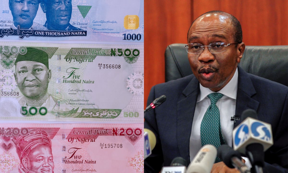 New Naira Notes: CBN Failed In implementation- Moghalu