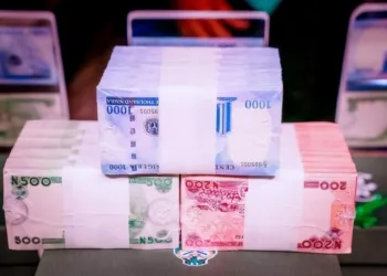 Redesigned Naira Notes