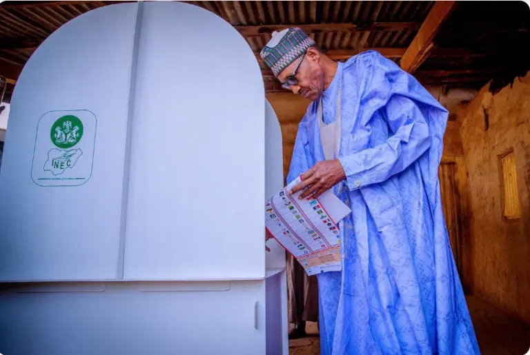 2023 Elections