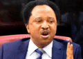 Sheu Sani