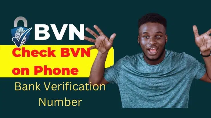 Bank Verification Number: How To Check Your BVN On Your Phone Free