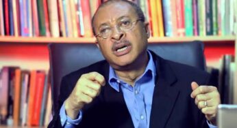 Landlords Can’t Rent House To Labour Party In Lagos – Pat Utomi