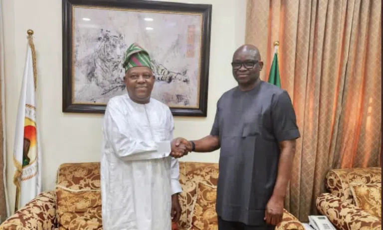 Fayose meets Shettima