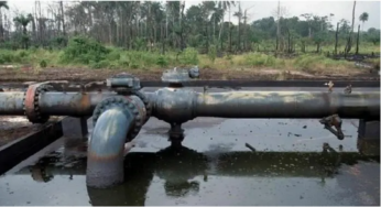 BREAKING: NNPC Discovers Oil in Nasarawa, Drilling Starts in March 2023