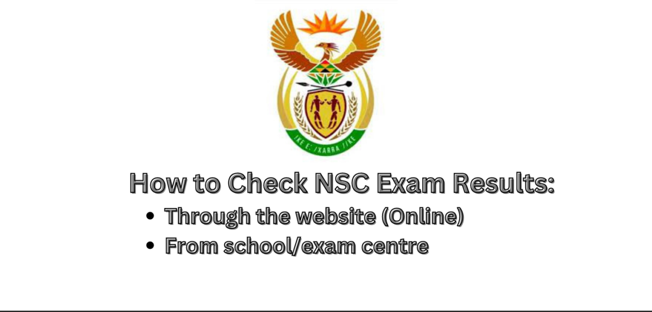 South Africa NSC Exam Result