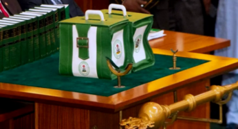 2023 Budget: States, FCT To Spend Over N11.5tr