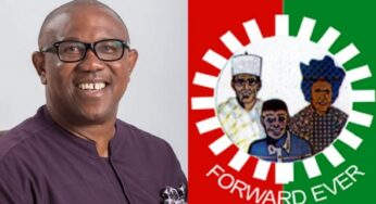 BREAKING: Peter Obi Heads To Court Again As INEC Refuses To Grant LP Access To BVAS