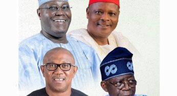 2023: New Poll Shows How Peter Obi Will Defeat Atiku, Tinubu, Kwankwaso