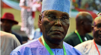 Respect Your Old Age, Kwankwaso Not In Talks With You – NNPP Replies Atiku