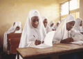 Basic Education Curriculum
