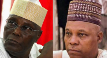 Kashim Shettima Incites Northerners To Reject Atiku For Opposing Sharia Rule In Nigeria