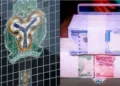 Naira Notes