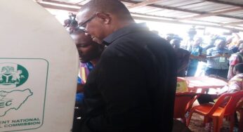 BREAKING: Peter Obi Defeats Bola Tinubu To Win Lagos Presidential Election