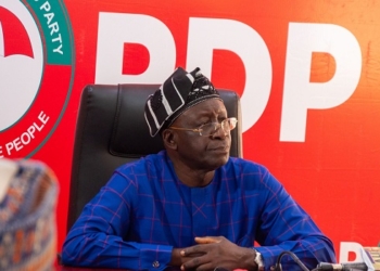 PDP National Chair Ayu