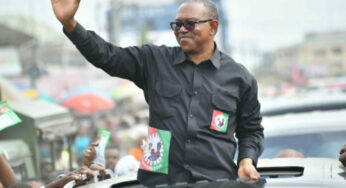 JUST IN: Peter Obi Reveals Main Plan Of Obidient Movement