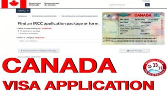 IRCC Reports Record Immigration Application Backlog