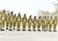 NDLEA website