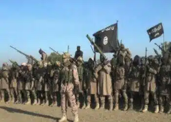ISIS Financing Network