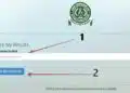2024 UTME Results