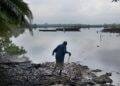 Oil Spills Clean Up