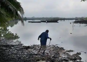 Oil Spills Clean Up