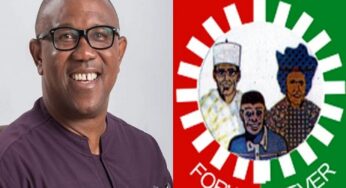 BREAKING: PEPT Rejects Peter Obi’s 25% FCT Votes Claim