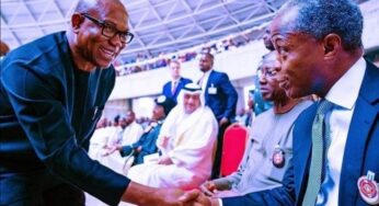 APC Should Have Presented Osinbajo As Candidate – Peter Obi