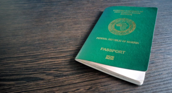 20 Countries Grant Visas On Arrival To Nigerian Passport Holders