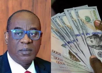 CBN Governor-Nominee Cardoso