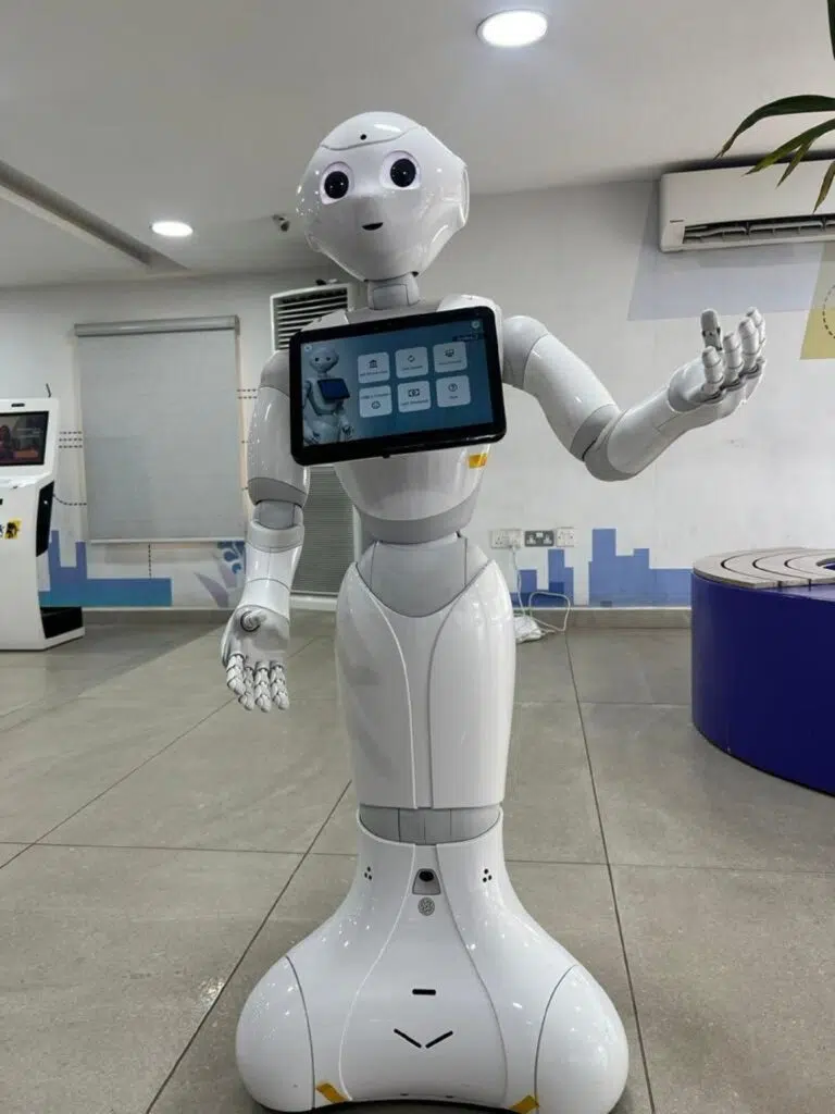 Humanoid Robot