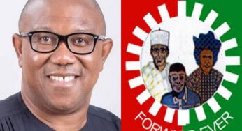 Peter Obi Name Not In Labour Party Membership Register – Bamidele