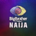 Big Brother Naija