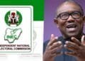 INEC Technical Director