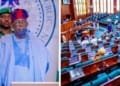Tinubu Palliative