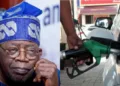 Fuel Subsidy