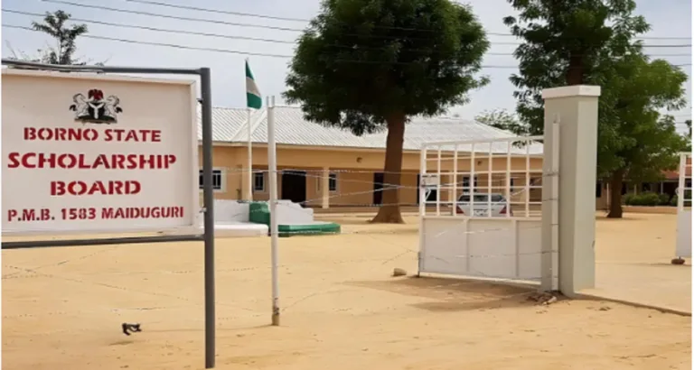 Borno State Scholarships